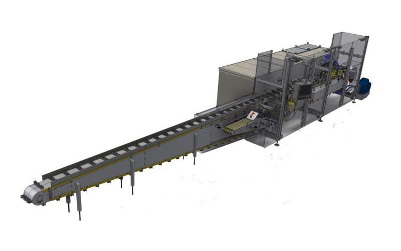 Secondary Packaging & Robotic Solutions